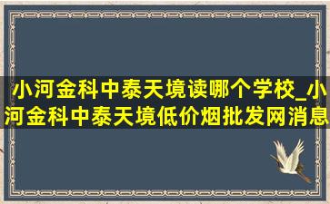 小河金科中泰天境读哪个学校_小河金科中泰天境(低价烟批发网)消息