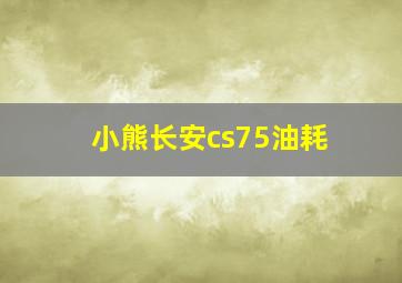 小熊长安cs75油耗