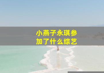 小燕子永琪参加了什么综艺