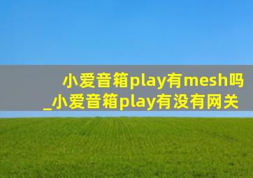 小爱音箱play有mesh吗_小爱音箱play有没有网关