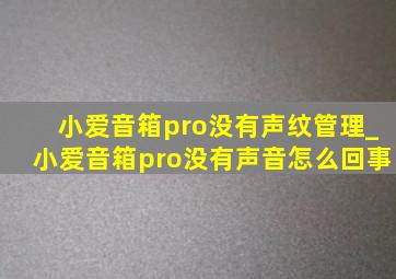 小爱音箱pro没有声纹管理_小爱音箱pro没有声音怎么回事