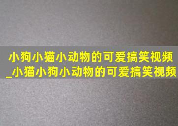 小狗小猫小动物的可爱搞笑视频_小猫小狗小动物的可爱搞笑视频