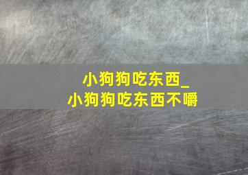 小狗狗吃东西_小狗狗吃东西不嚼