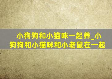 小狗狗和小猫咪一起养_小狗狗和小猫咪和小老鼠在一起