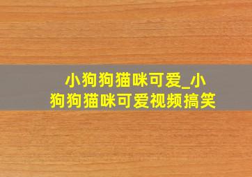 小狗狗猫咪可爱_小狗狗猫咪可爱视频搞笑