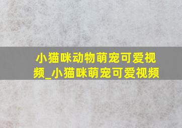 小猫咪动物萌宠可爱视频_小猫咪萌宠可爱视频