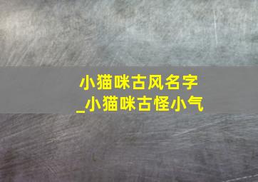 小猫咪古风名字_小猫咪古怪小气