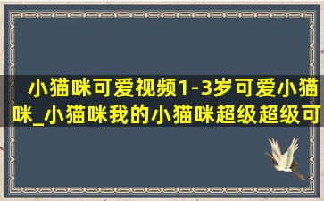 小猫咪可爱视频1-3岁可爱小猫咪_小猫咪我的小猫咪超级超级可爱