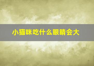 小猫咪吃什么眼睛会大