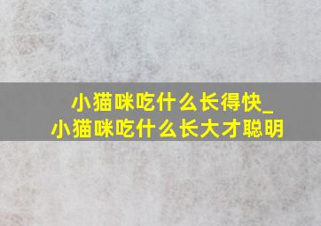 小猫咪吃什么长得快_小猫咪吃什么长大才聪明