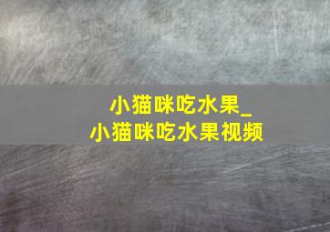 小猫咪吃水果_小猫咪吃水果视频