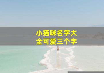 小猫咪名字大全可爱三个字