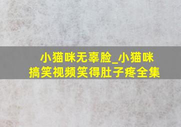 小猫咪无辜脸_小猫咪搞笑视频笑得肚子疼全集