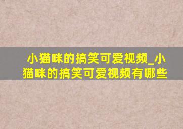 小猫咪的搞笑可爱视频_小猫咪的搞笑可爱视频有哪些