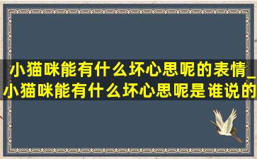 小猫咪能有什么坏心思呢的表情_小猫咪能有什么坏心思呢是谁说的