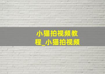 小猫拍视频教程_小猫拍视频