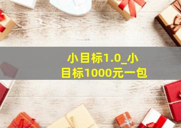 小目标1.0_小目标1000元一包