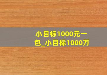 小目标1000元一包_小目标1000万