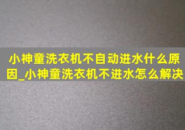 小神童洗衣机不自动进水什么原因_小神童洗衣机不进水怎么解决