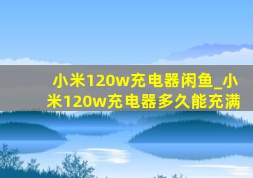 小米120w充电器闲鱼_小米120w充电器多久能充满