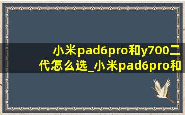 小米pad6pro和y700二代怎么选_小米pad6pro和y700二代哪个更好