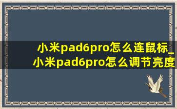 小米pad6pro怎么连鼠标_小米pad6pro怎么调节亮度