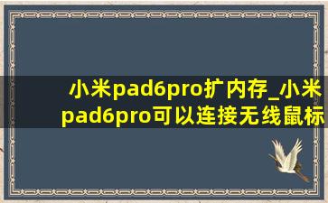 小米pad6pro扩内存_小米pad6pro可以连接无线鼠标吗