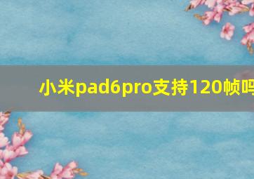 小米pad6pro支持120帧吗