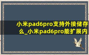 小米pad6pro支持外接储存么_小米pad6pro能扩展内存吗