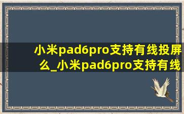 小米pad6pro支持有线投屏么_小米pad6pro支持有线投屏吗