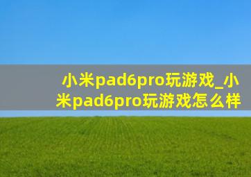 小米pad6pro玩游戏_小米pad6pro玩游戏怎么样