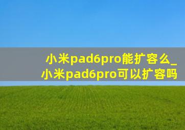小米pad6pro能扩容么_小米pad6pro可以扩容吗
