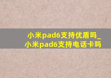 小米pad6支持优盾吗_小米pad6支持电话卡吗