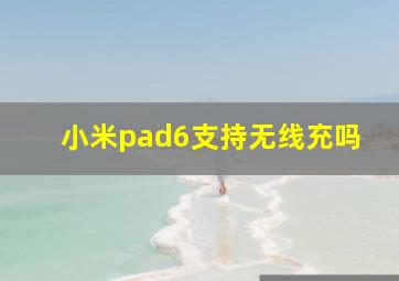 小米pad6支持无线充吗