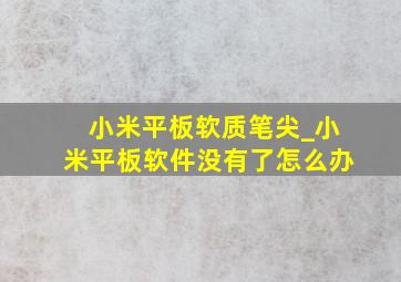 小米平板软质笔尖_小米平板软件没有了怎么办