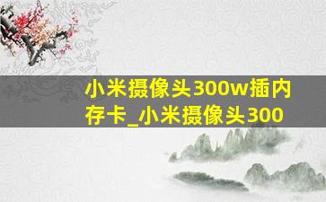 小米摄像头300w插内存卡_小米摄像头300