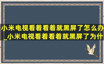 小米电视看着看着就黑屏了怎么办_小米电视看着看着就黑屏了为什么