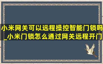 小米网关可以远程操控智能门锁吗_小米门锁怎么通过网关远程开门