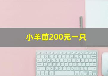 小羊苗200元一只