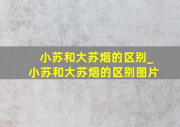 小苏和大苏烟的区别_小苏和大苏烟的区别图片