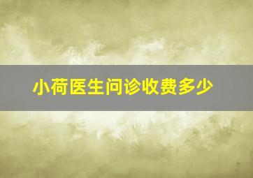 小荷医生问诊收费多少