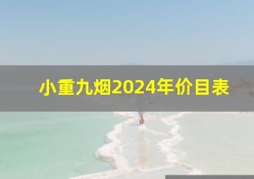 小重九烟2024年价目表