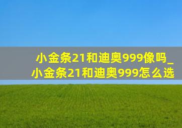 小金条21和迪奥999像吗_小金条21和迪奥999怎么选