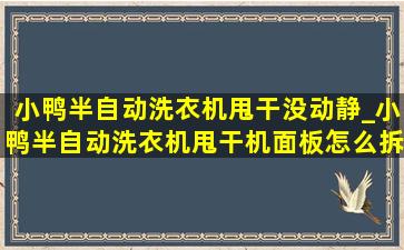 小鸭半自动洗衣机甩干没动静_小鸭半自动洗衣机甩干机面板怎么拆