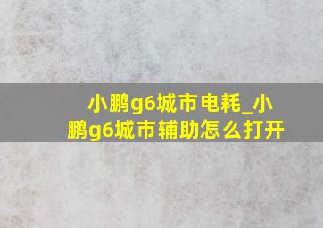 小鹏g6城市电耗_小鹏g6城市辅助怎么打开