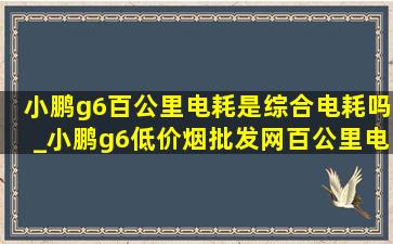 小鹏g6百公里电耗是综合电耗吗_小鹏g6(低价烟批发网)百公里电耗