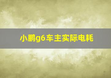 小鹏g6车主实际电耗