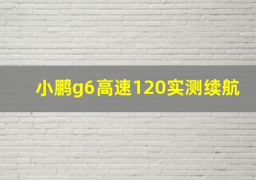 小鹏g6高速120实测续航