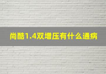 尚酷1.4双增压有什么通病