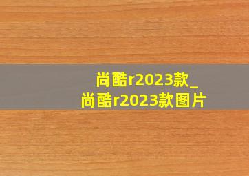 尚酷r2023款_尚酷r2023款图片